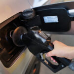 Insanity in the Hamptons – Inside Montauk Shores’ Million-Dollar Trailer Boom