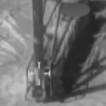 Missiles, Upheaval and Market Shock: Summary of Last 24 Hours of Operation Epic Fury & Roaring Lion