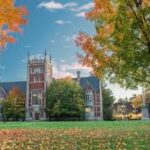 Specialized Canine Unit Practices Disaster Rescue Operations in Northern Israel