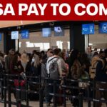 From Jungle Predator to Medical Pioneer: How Python Biology May Revolutionize the Fight Against Obesity